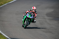 PJ-Motorsport-2019;anglesey-no-limits-trackday;anglesey-photographs;anglesey-trackday-photographs;enduro-digital-images;event-digital-images;eventdigitalimages;no-limits-trackdays;peter-wileman-photography;racing-digital-images;trac-mon;trackday-digital-images;trackday-photos;ty-croes